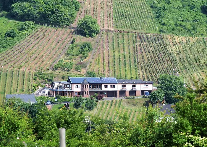 Urlaubsweingut Zecherhof