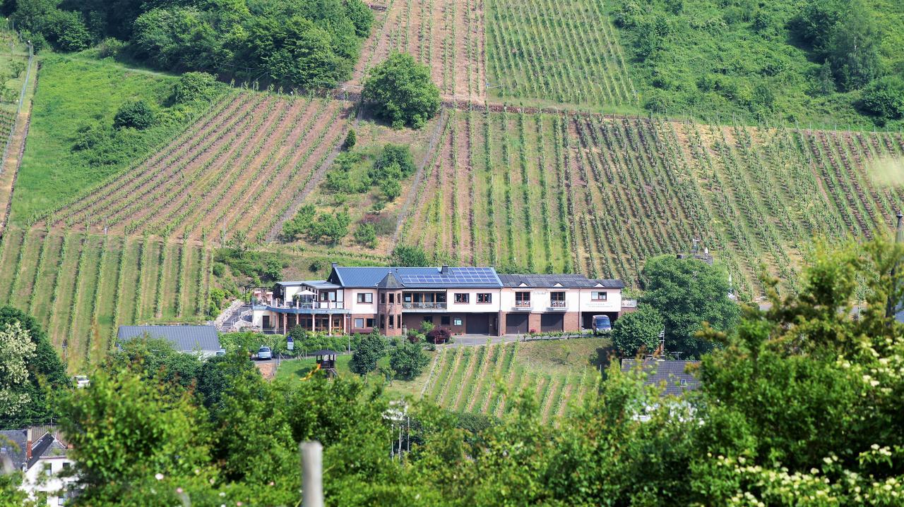 Urlaubsweingut Zecherhof * Neef