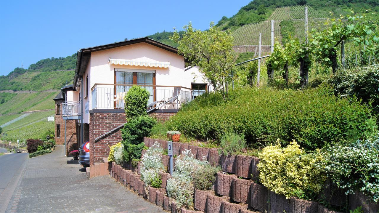 Urlaubsweingut Zecherhof Apartment Neef